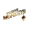 TWELVE MONKEY
